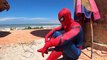 02.SPIDER-MAN vs VENOM Battle on the beach (The Ball) Người Nhện tranh bóng