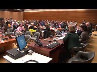 L'aplaudiment a Laura Masvidal, parella de Forn, a l'ONU