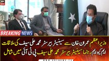 Senator Muhammad Ali Saif joins PTI