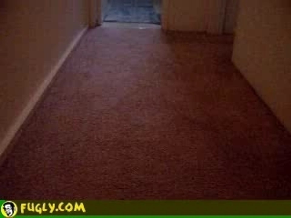 Alien Footage!!!OMG!!! ebe