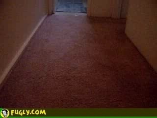 Alien Footage!!!OMG!!! ebe