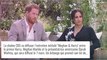 Stéphane Bern flingue Meghan Markle : 