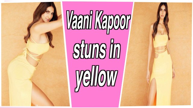 Vaani Kapoor sets temperatures soaring in new picture