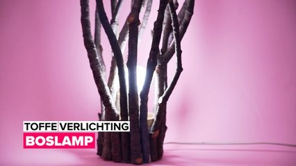 Breng licht in je leven: Boslamp