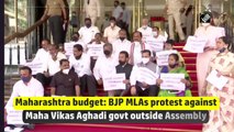 Maharashtra budget: BJP MLAs protest against Maha Vikas Aghadi govt outside Assembly
