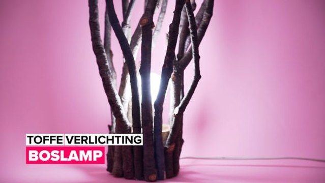Breng licht in je leven: Boslamp