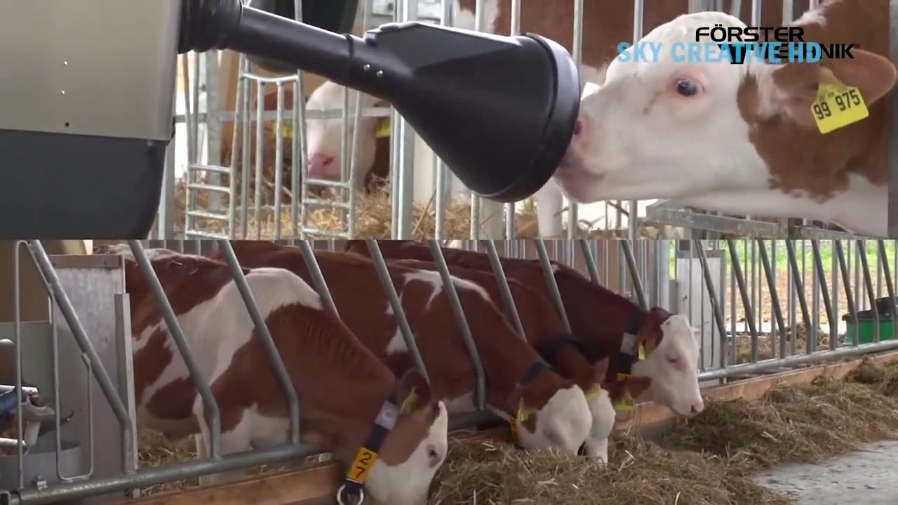 This incredible modern farming technology is AMAZING ||  Fantastic farming processing production method