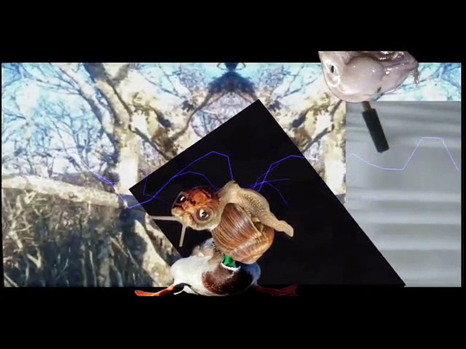 méditation finale plein de bruits bizzares