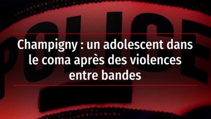 Champigny : un adolescent dans le coma après des violences entre bandes