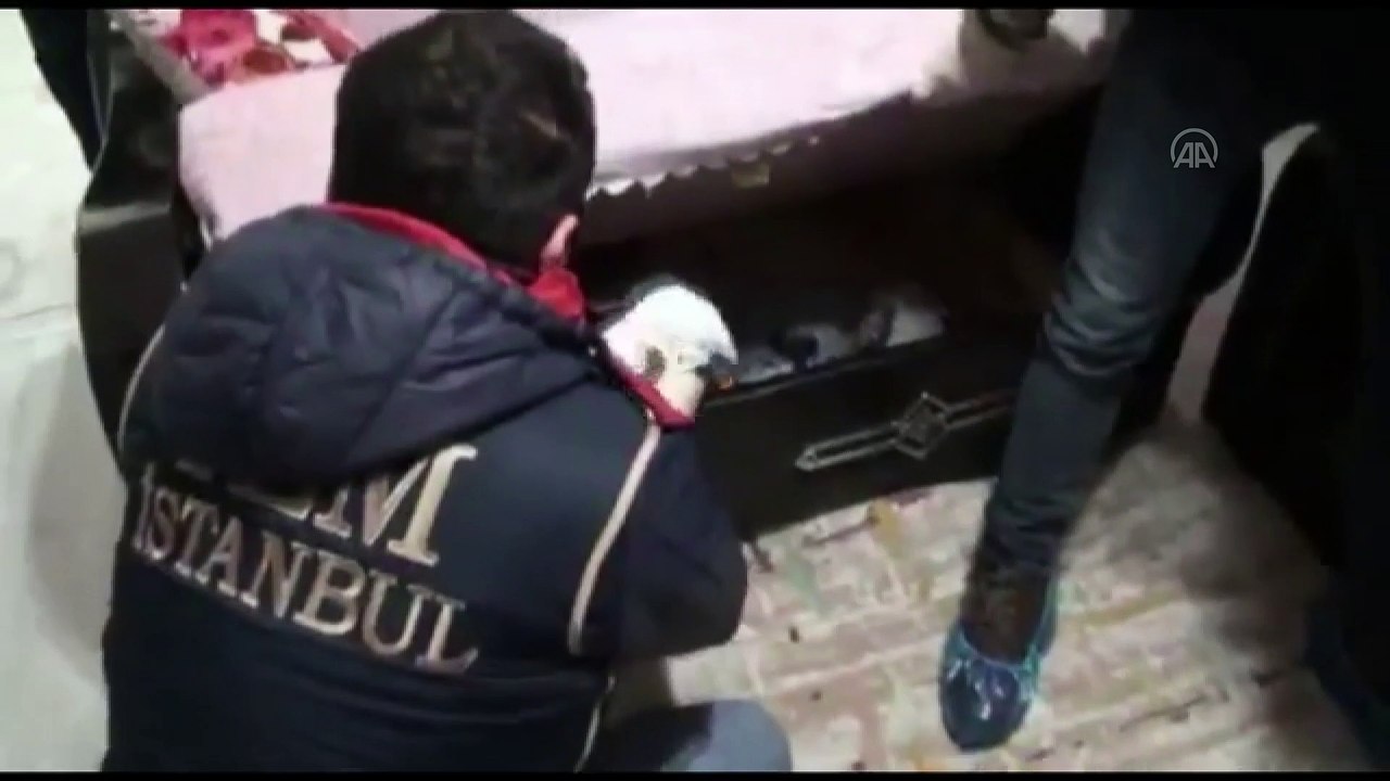 İSTANBUL - Terör örgütü PKK operasyonunda 7 şüpheli gözaltına alındı
