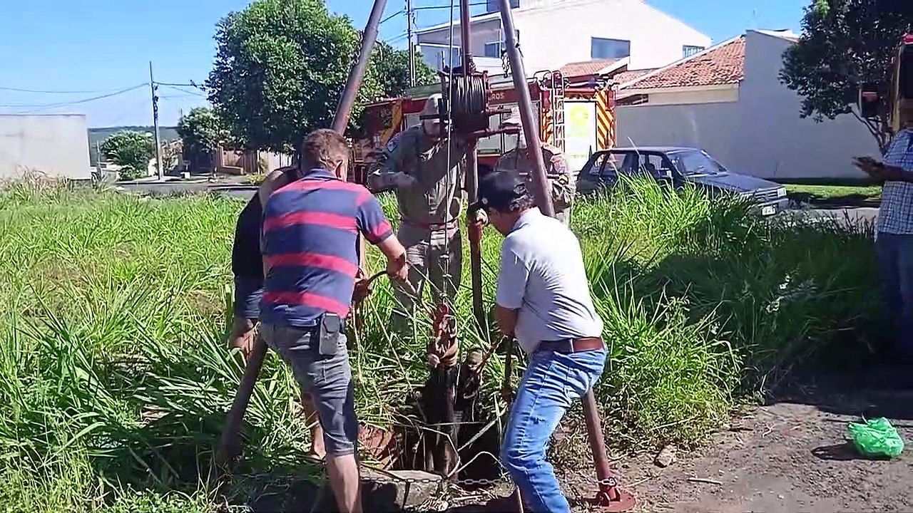 Bombeiros de Umuarama resgatam cavalo de bueiro