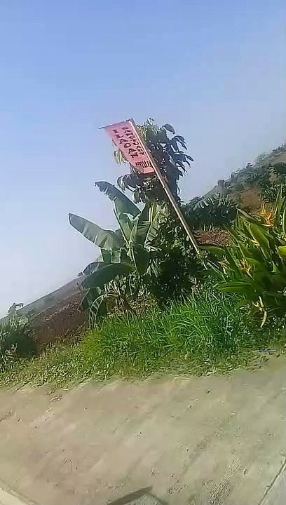 ilagan