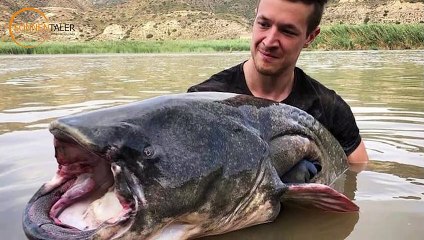 Maxis Mittwochsrunde mit Kevin Nowatzki Teil I