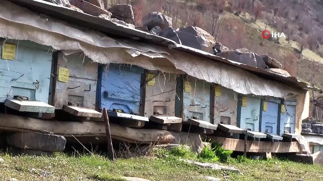 Bir Zamanlar Terörün Kol Gezdiği Yaylalarda Silah Sesi Yerini Arı Vızırtısına Bıraktı