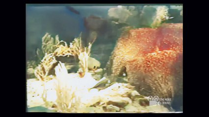 Diver Dan/ Hard Water (Full Episode)/ S1 E1 AI Colorized And Upscaled to 4K