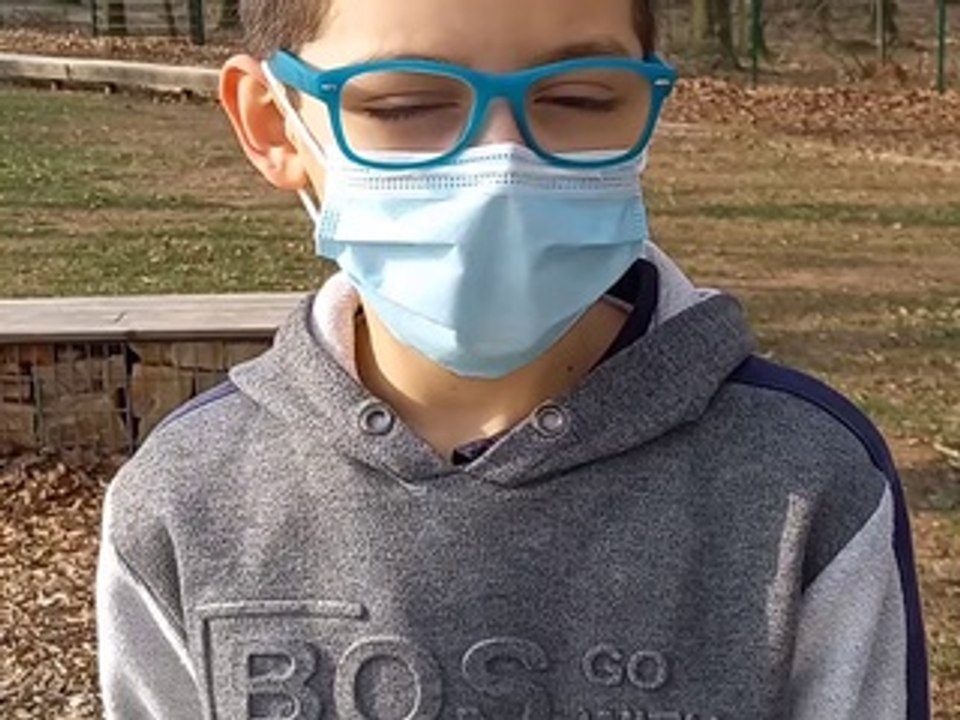 Collège Firmin Roz - Kitten