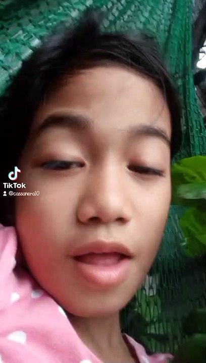 tiktok pa