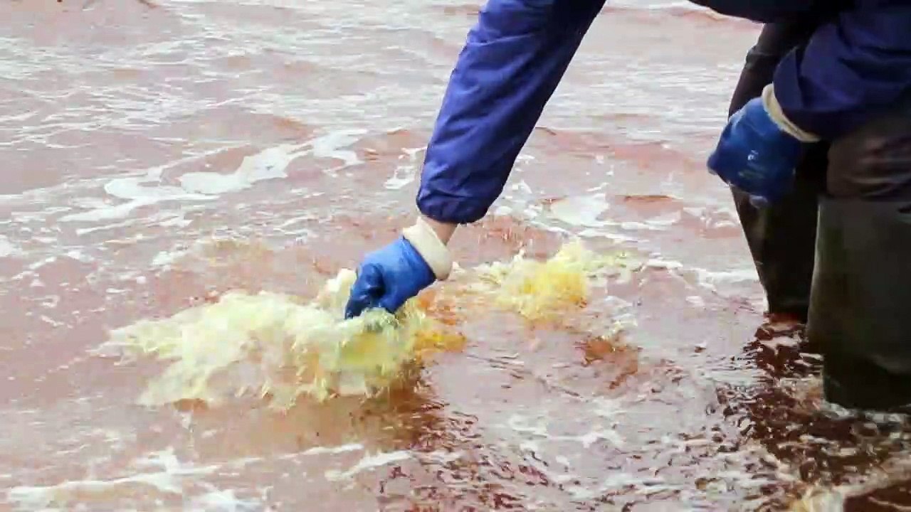 Mineradora russa paga multa recorde