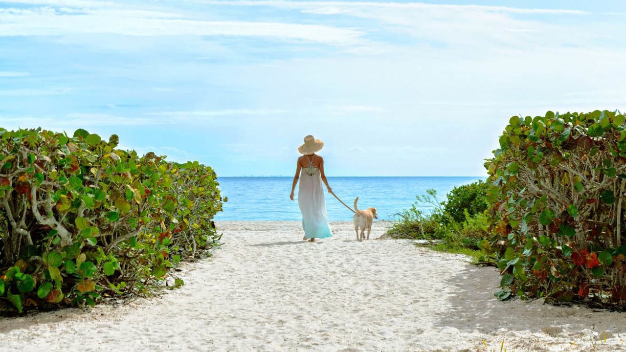 Florida’s Hidden Treasure: Explore the Natural Wonders of Sanibel Island