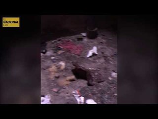 Así estaba por dentro un narcopiso desmantelado por los Mossos