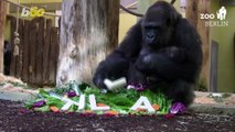 Going Ape! Berlin Zoo’s Baby Gorilla Finally Gets a Name!