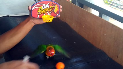 Practice Playing Basketball