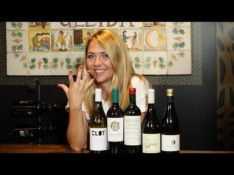 51 | Gastronomia | Celler d'El Nacional | Els 5 millors blancs de criança per menys de 20 euros