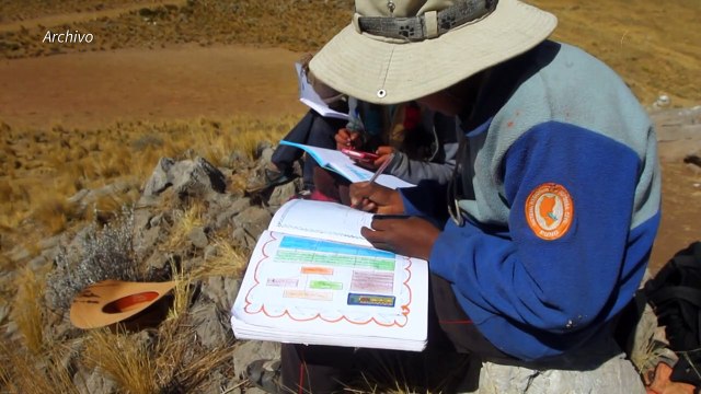 Unicef: No puede ser que abran los centros comerciales y no las escuelas