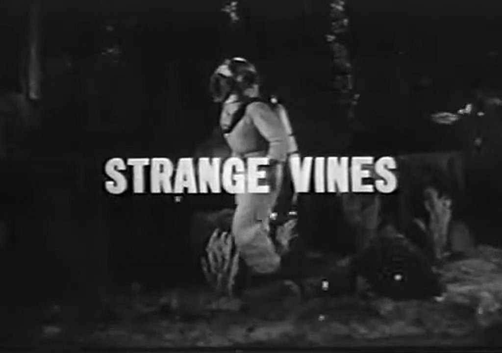 Diver Dan   Strange Vines