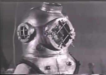 Diver Dan   Talking Fish