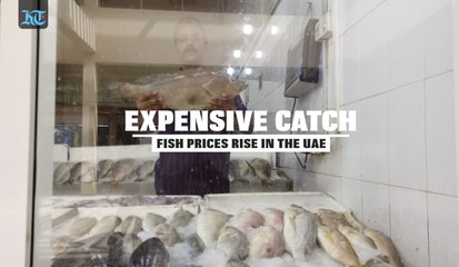 Expensive Catch: Fish Prices Rise In The Uae