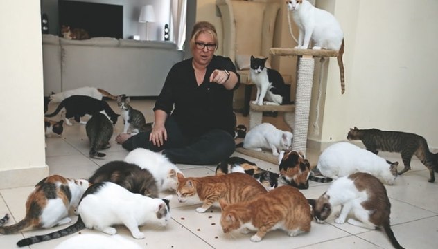 Meet the British expat in Abu Dhabi who lives with 80 rescued cats