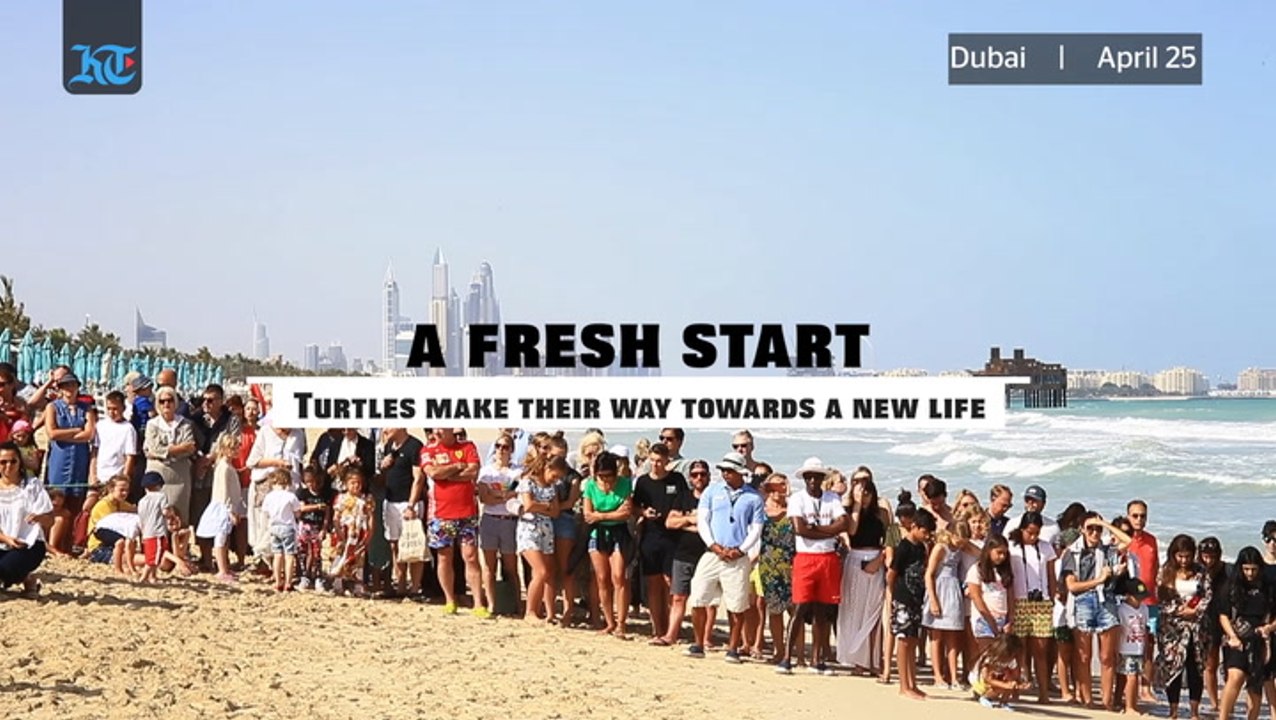 A Fresh Start: 75 turtles released into the sea in Jumeirah
