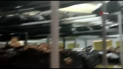 Kadınların yetiştirdiği istiridye mantarları ilk meyvelerini verdi