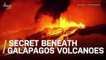 Are Some Volcanoes Capable of Hiding Explosive Magma Underground?