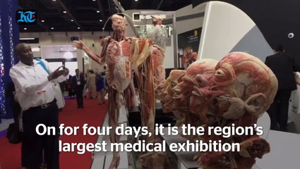 This is Arab Health 2019 that opened in Dubai on January 28