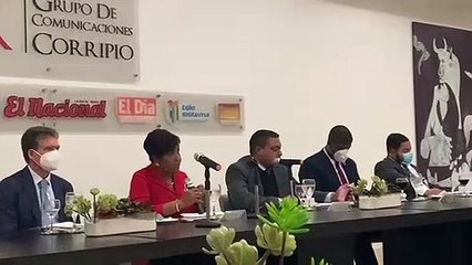 Josefa Castillo debe ocho millones por su candidatura