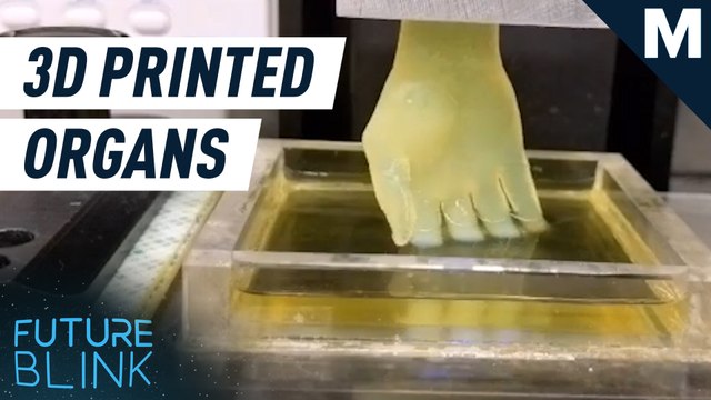 Researchers got a step closer to 3D printed organs and human tissue – Future Blink
