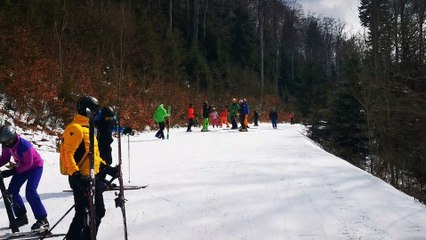 Skiing with a Bear on the Slopes