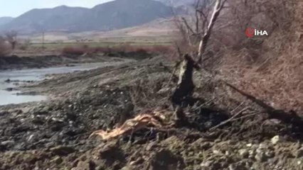 "Amasya'nın gerdanlığı" Yeşilırmak'ın yüzeyinde kirlilik oluştu