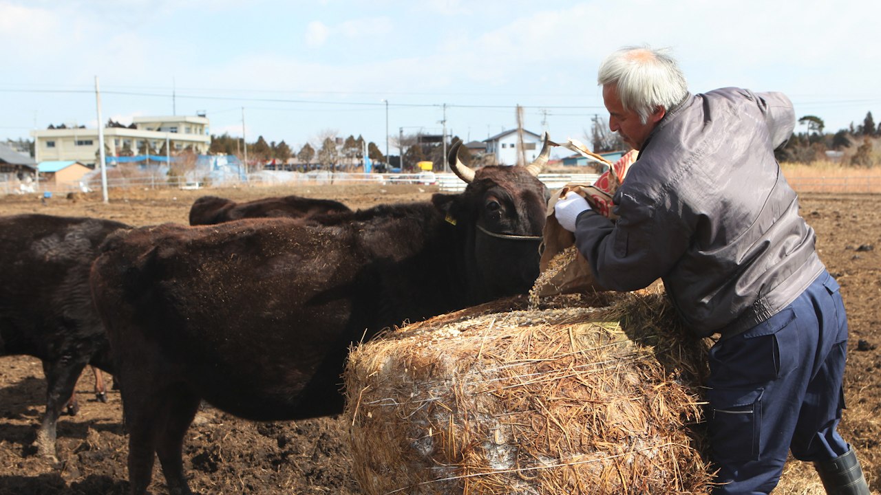Two Men Remain In Fukushima 10 Years After Nuclear Disaster