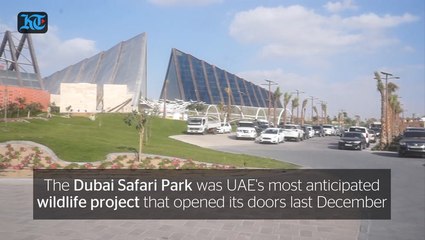 Dubai Safari Park Corrected