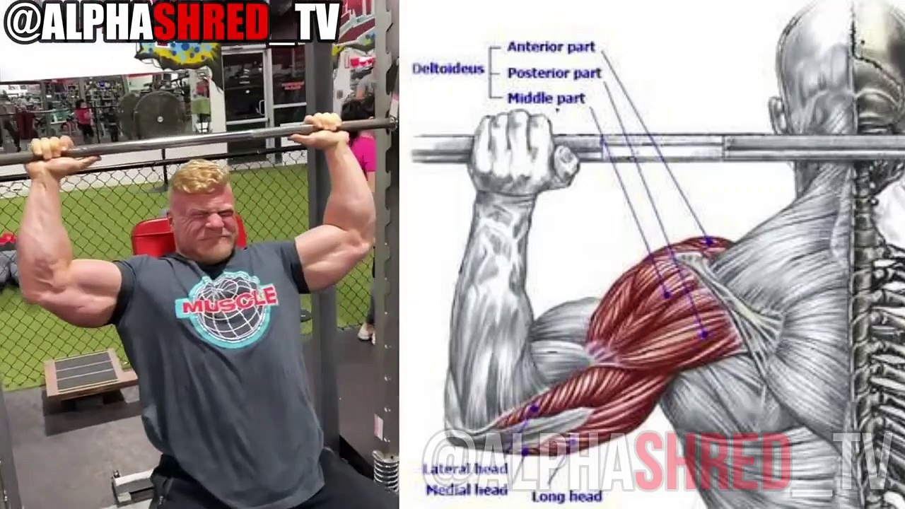14 BEST SHOULDERS EXERCISES YOU SHOULD BE DOING  999% RESULTS