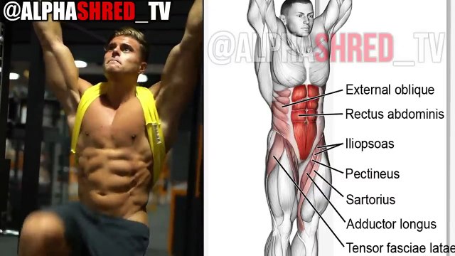 Best 10 LOWER ABS Exercises to Build Sculpted SIX-PACK FAST 100% RESULTS