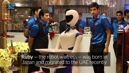 Robot waitress serves biryani, kebabs at Dubai restaurant