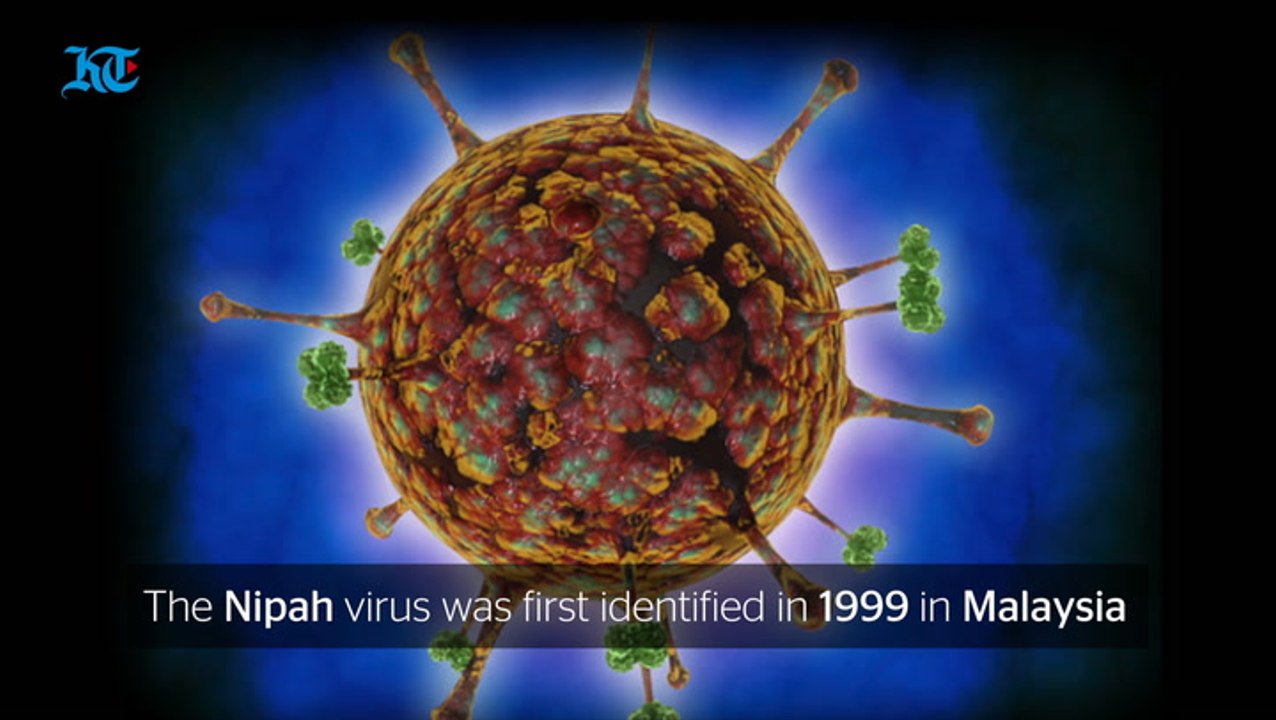 Nipah Virus