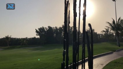 Sheikh Zayed Installation