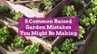 8 Common Raised Garden Mistakes You Might Be Making