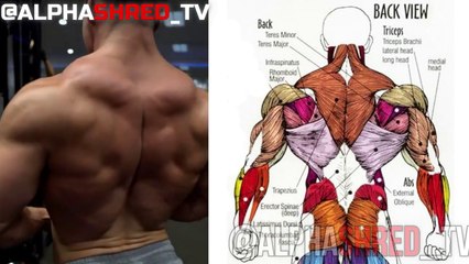How To Build Back Thickness FAST (6 Effective Exercises) | Gym Workout