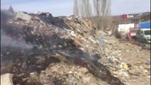 Ankara’da yakılmış köpek ölüsü bulundu